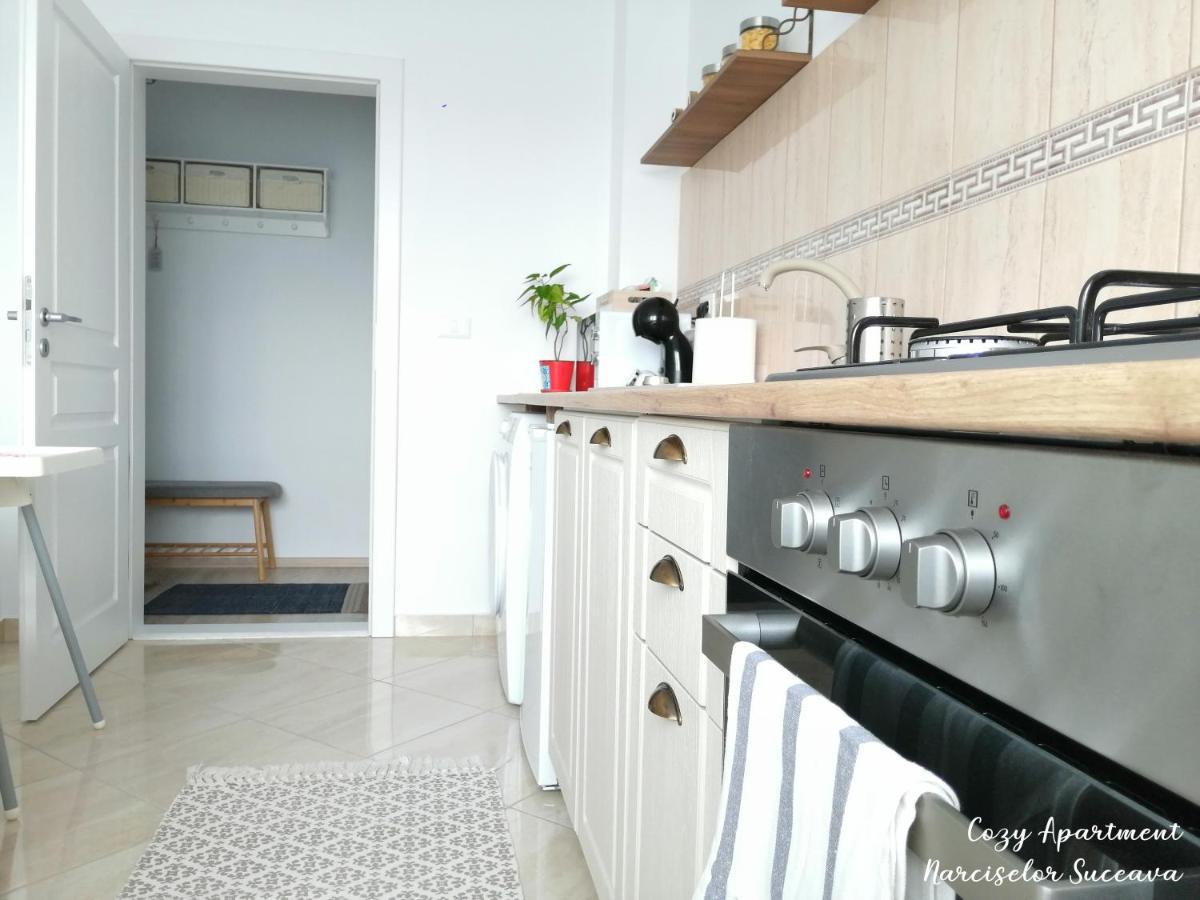 Cozy Apartment Narciselor Suceava Ipotesti (Suceava) Exterior foto