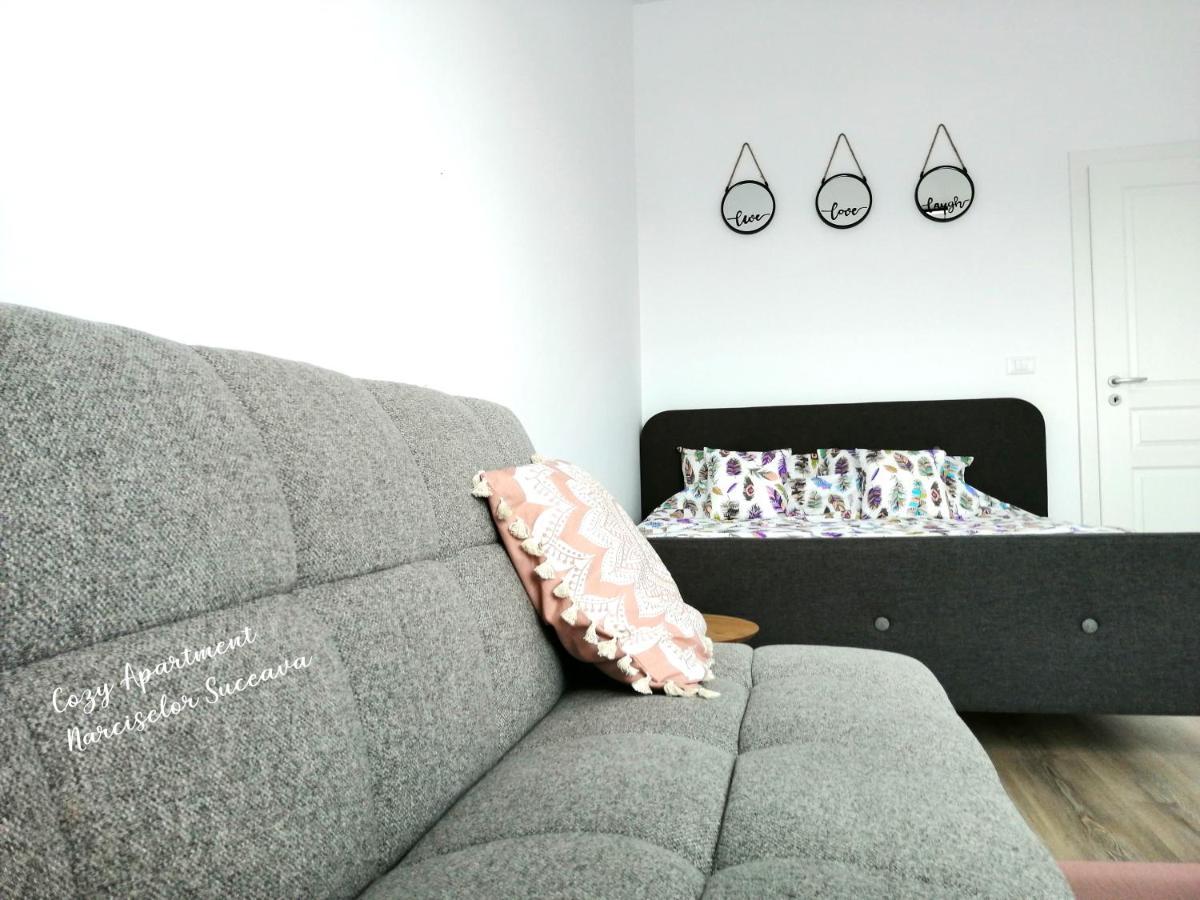 Cozy Apartment Narciselor Suceava Ipotesti (Suceava) Exterior foto