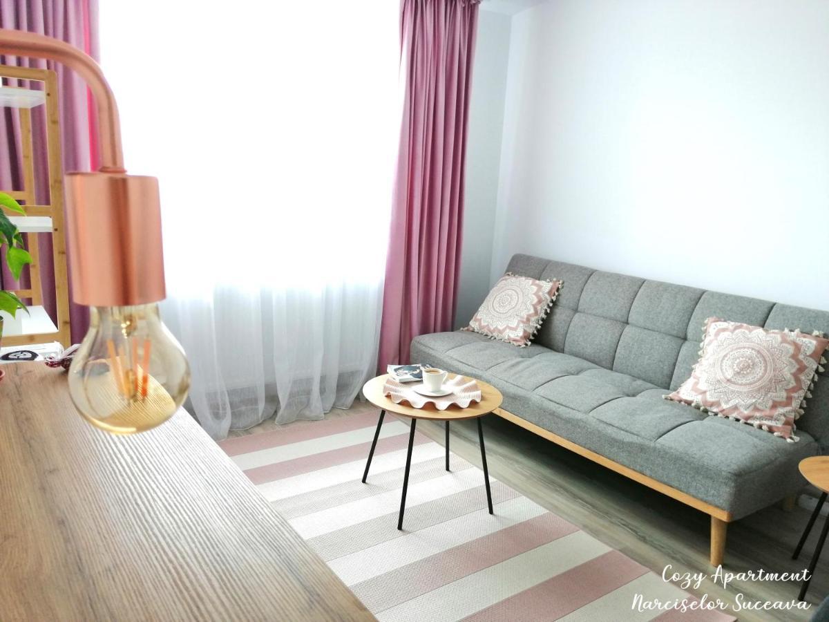 Cozy Apartment Narciselor Suceava Ipotesti (Suceava) Exterior foto